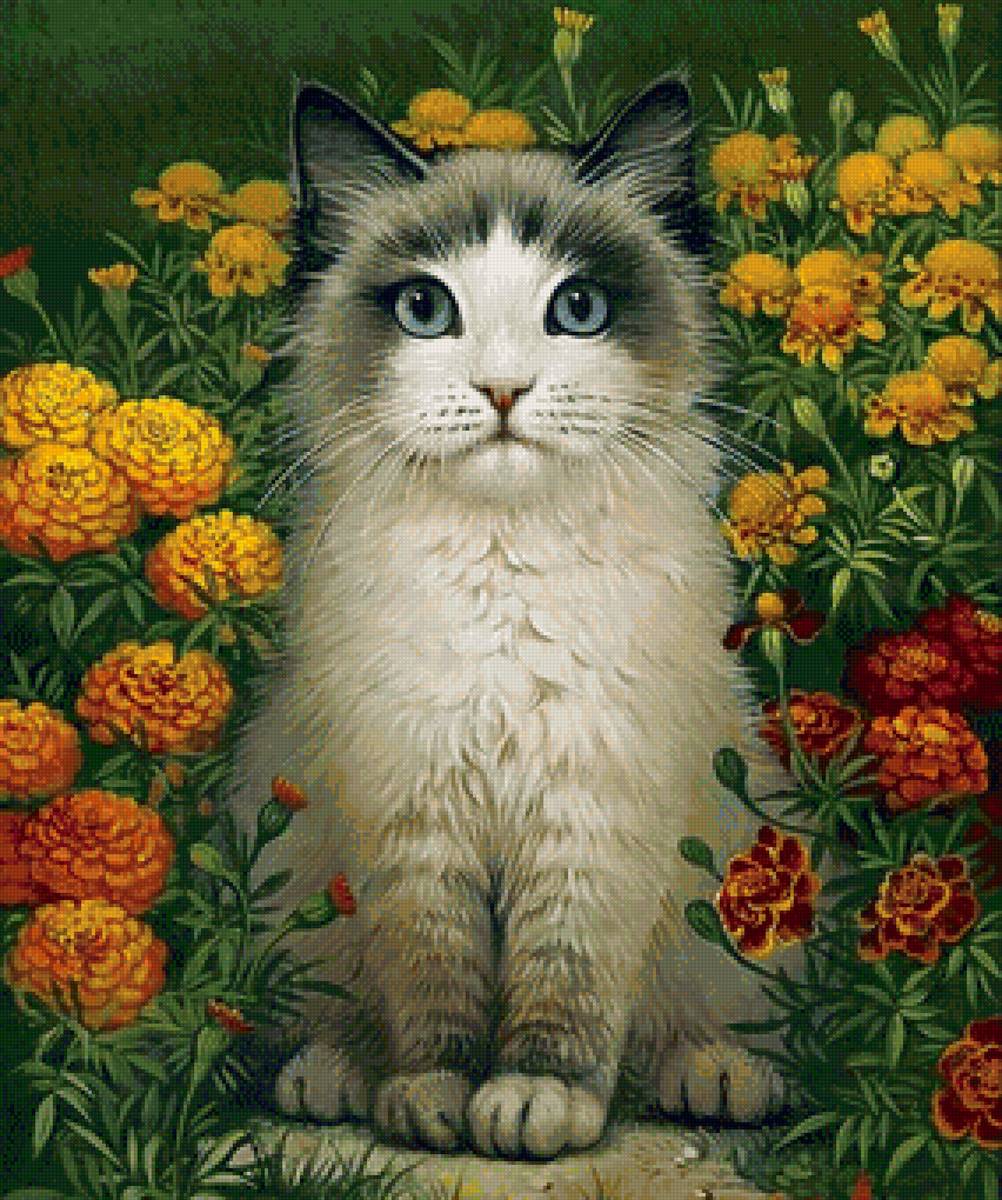 кот - животные, кот, портрет - предпросмотр