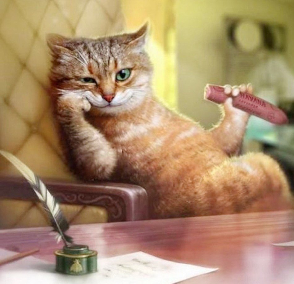 кот - кот, животные, портрет - оригинал