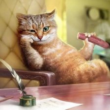 Схема вышивки «кот»