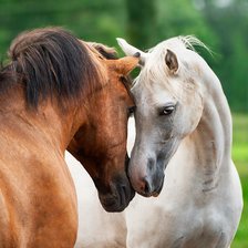 Схема вышивки «здравствуй»