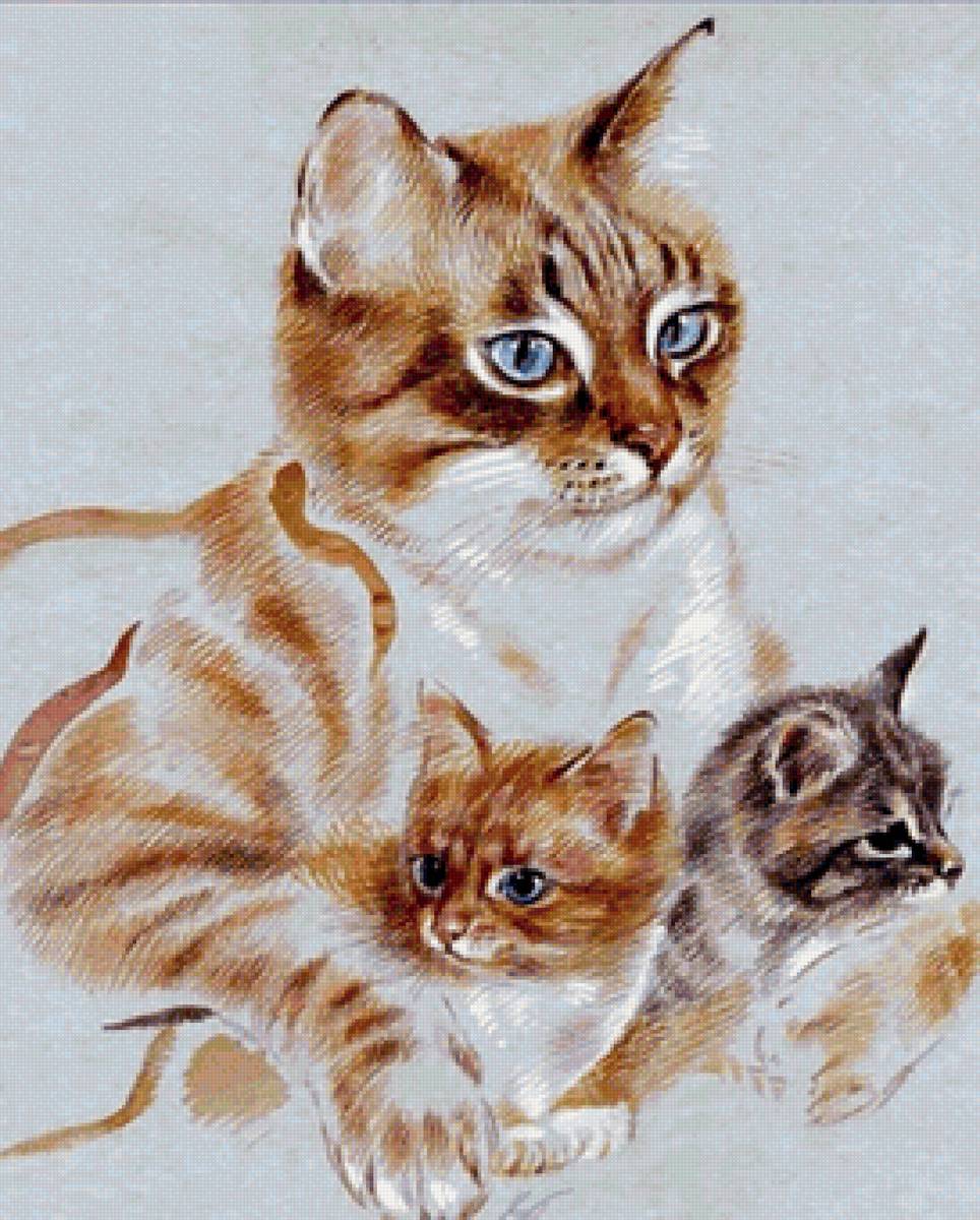 кот - портрет, кот, животные - предпросмотр