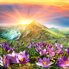 Схема вышивки «пейзаж»