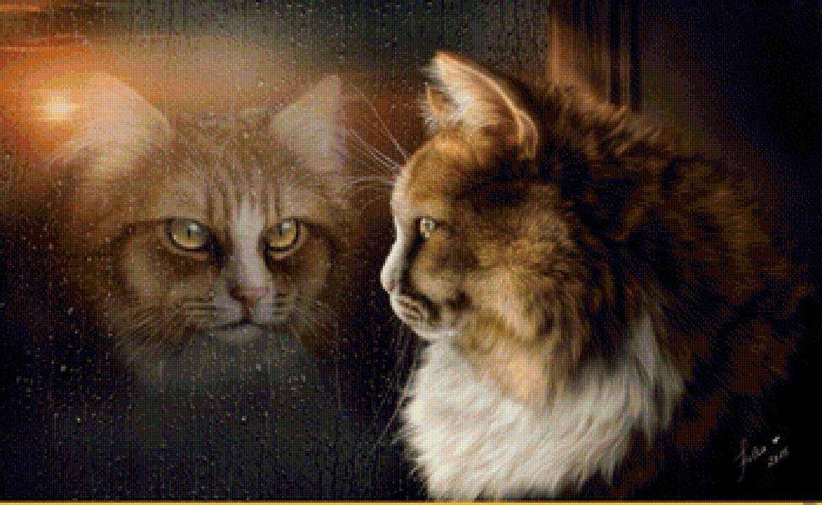 кот - кот, животные, портрет - предпросмотр