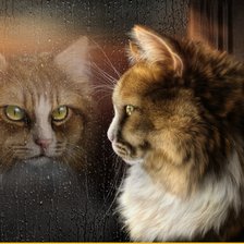 Схема вышивки «кот»