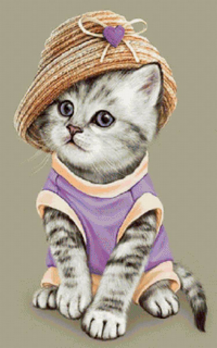 кот - портрет, кот, животные - предпросмотр