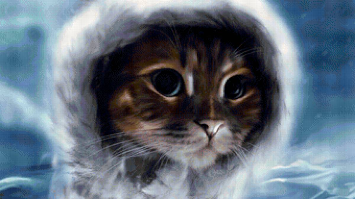 кот - портрет, кот, животные - предпросмотр