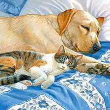 Схема вышивки «кот»