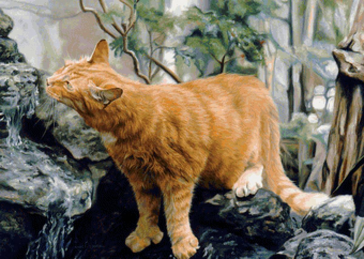 кот - животные, кот, портрет - предпросмотр