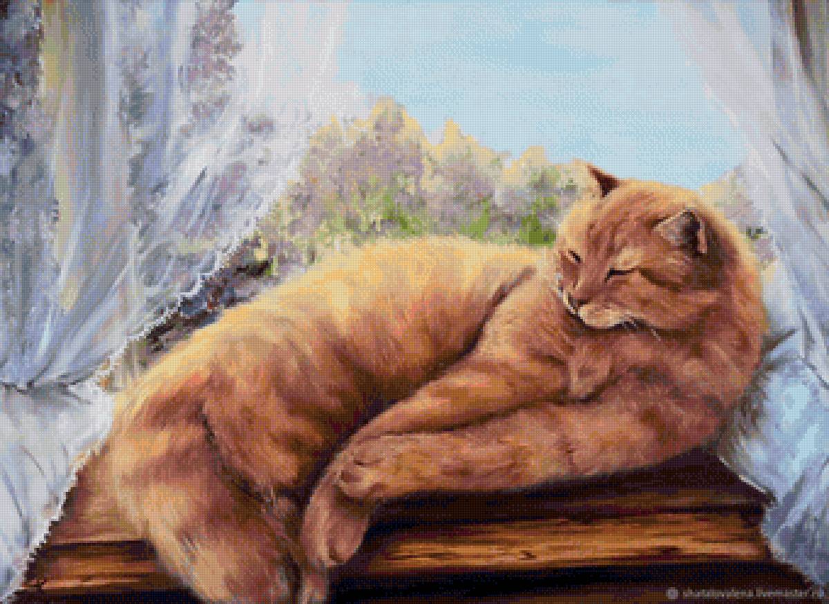 кот - портрет, кот, животные - предпросмотр