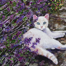 Схема вышивки «Кот»