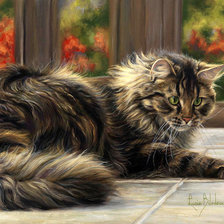 Схема вышивки «кот»