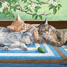 Схема вышивки «кот»