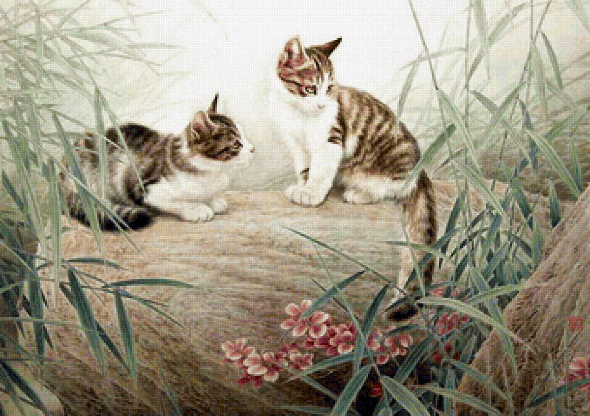 кот - портрет, животные, кот - предпросмотр