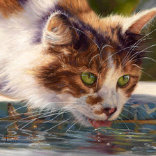 Схема вышивки «кот»