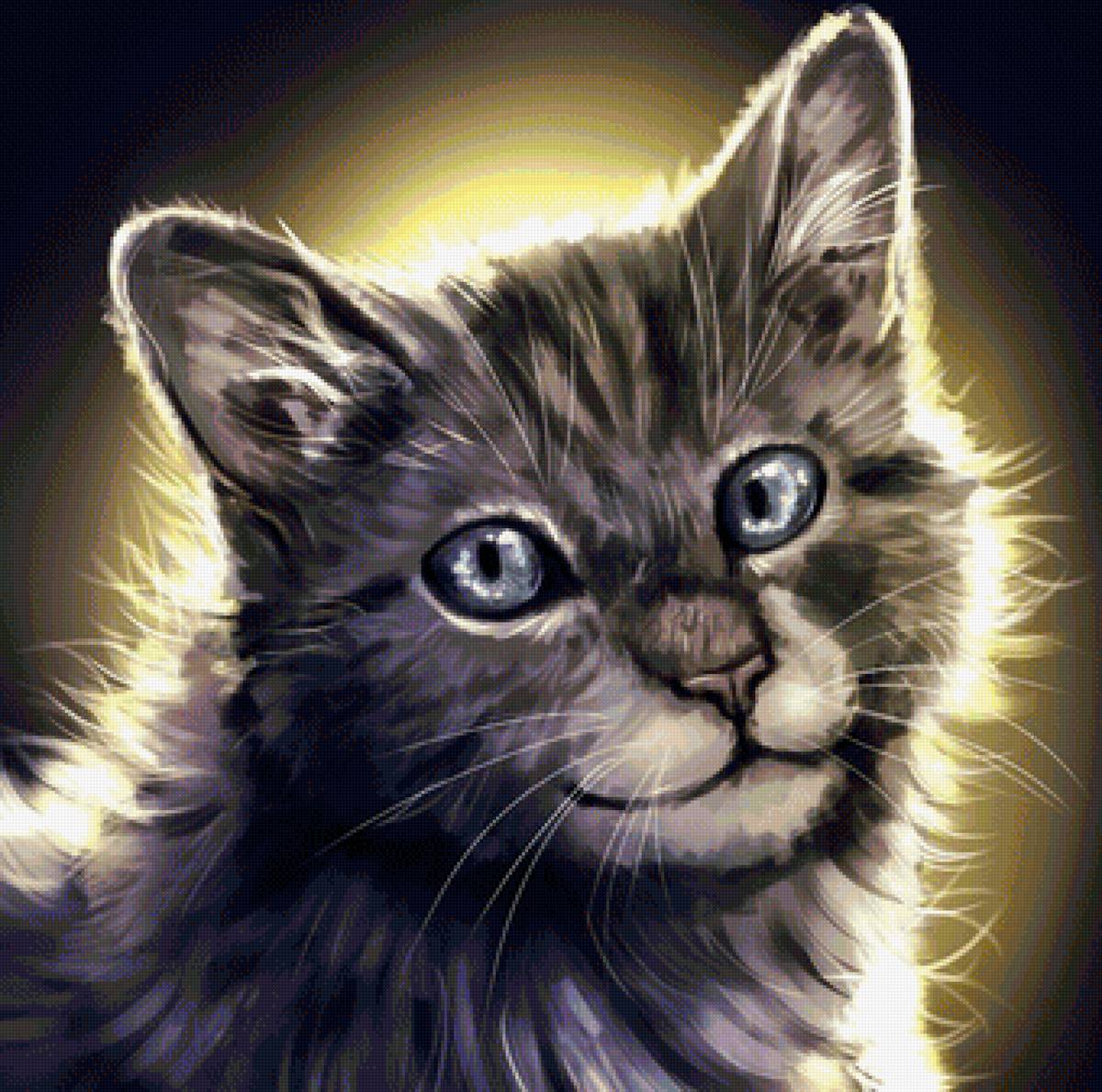 кот - животные, портрет, кот - предпросмотр