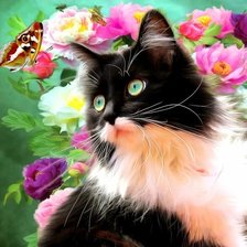 Схема вышивки «кот»