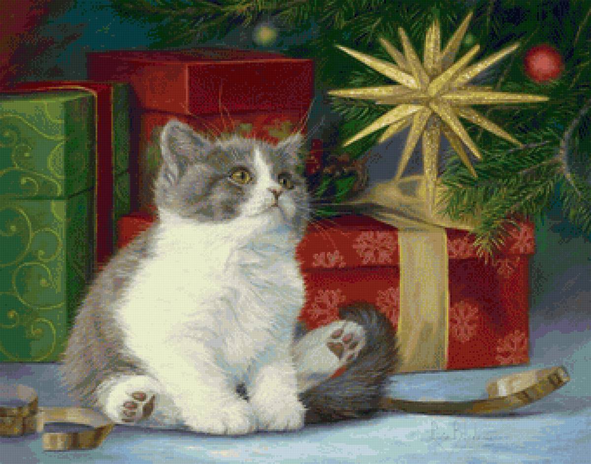 кот - портрет, животные, кот - предпросмотр