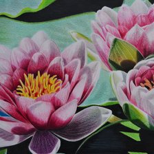 Схема вышивки «цветущий лотос»