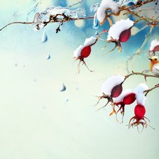 Схема вышивки «Птица»