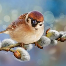 Схема вышивки «Воробей»