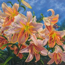 Схема вышивки «розовые лилии»