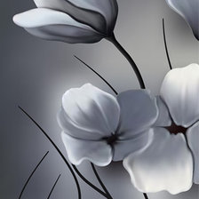 Схема вышивки «ТРИПТИХ МАК 1»