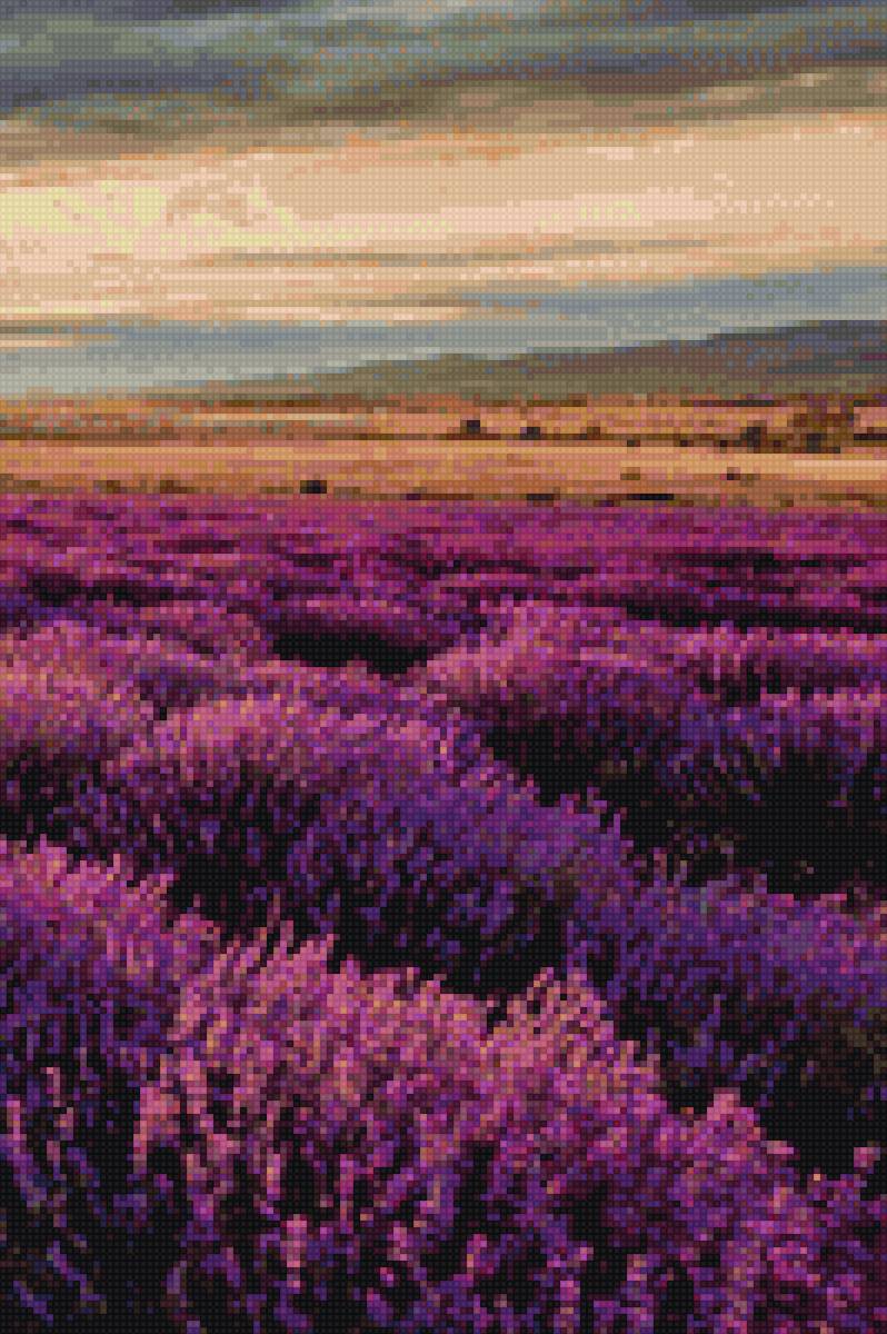 ТРИПТИХ ЛАВАНДОВОЕ ПОЛЕ 3 - denecs - предпросмотр