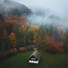 Схема вышивки «Дом в лесу»