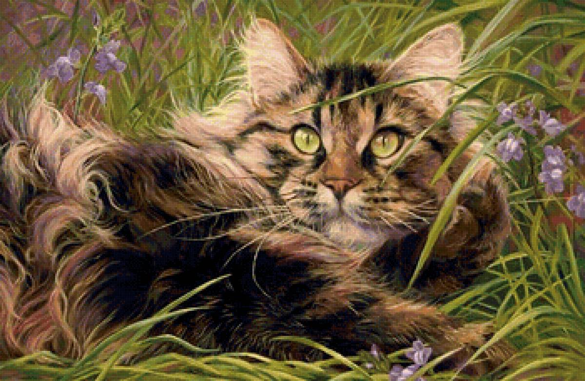 кот - портрет, кот, животные - предпросмотр