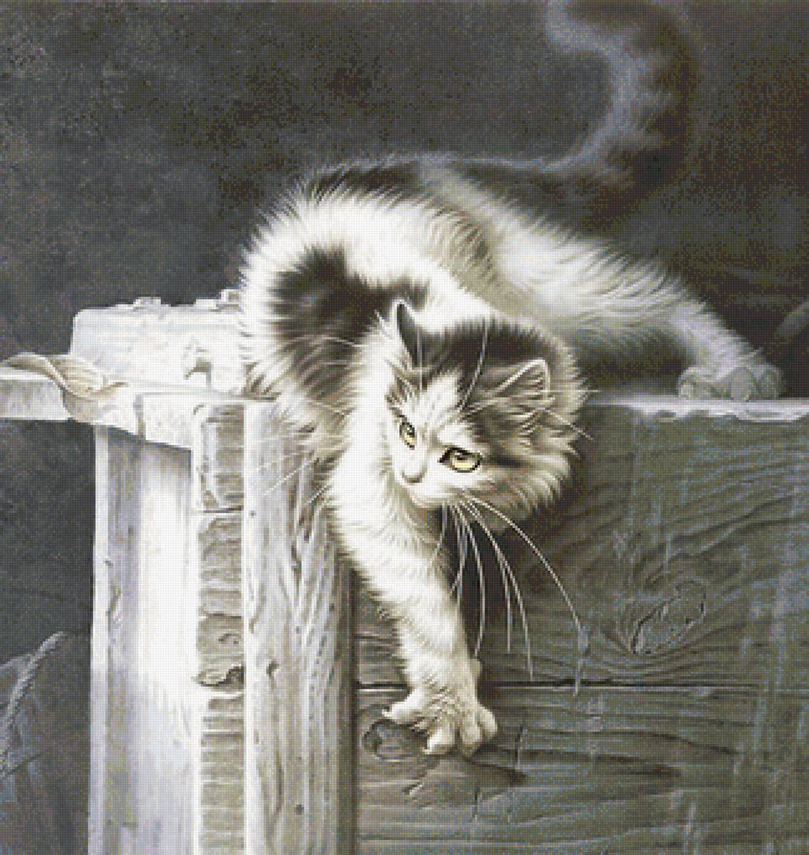 кот - портрет, кот, животные - предпросмотр