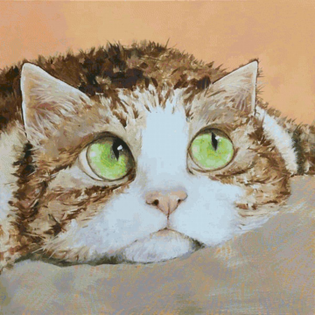 кот - кот, животные, портрет - предпросмотр