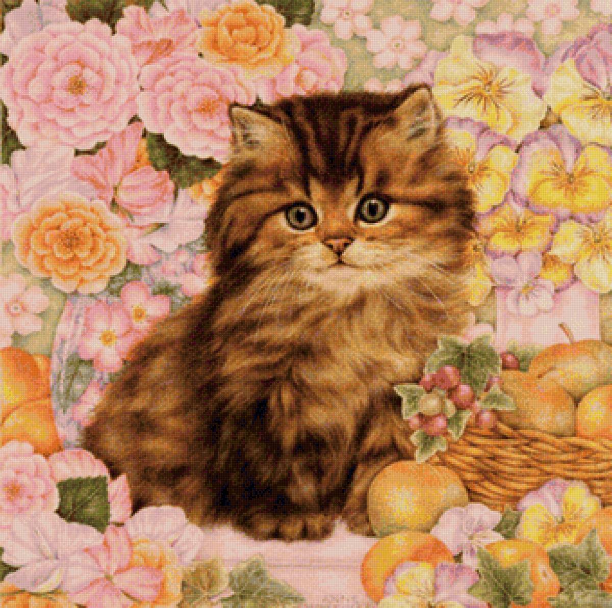 кот - кот, животные, портрет - предпросмотр