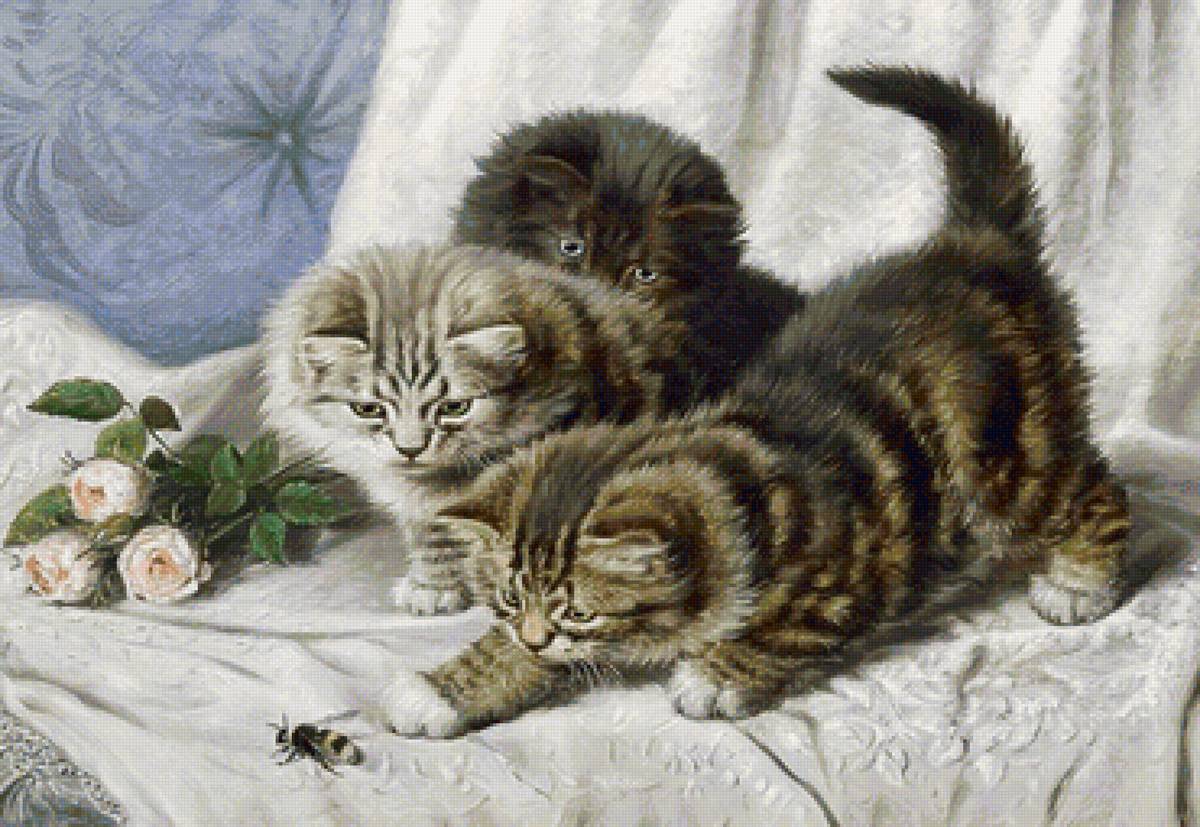 кот - кот, животные, портрет - предпросмотр