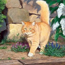 Схема вышивки «кот»