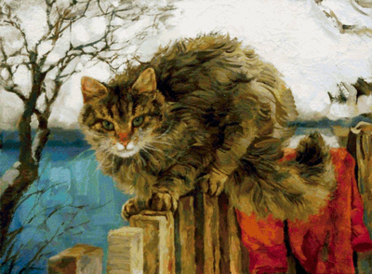 кот - кот, животные, портрет - предпросмотр