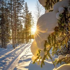 Схема вышивки «Мороз и солнце»