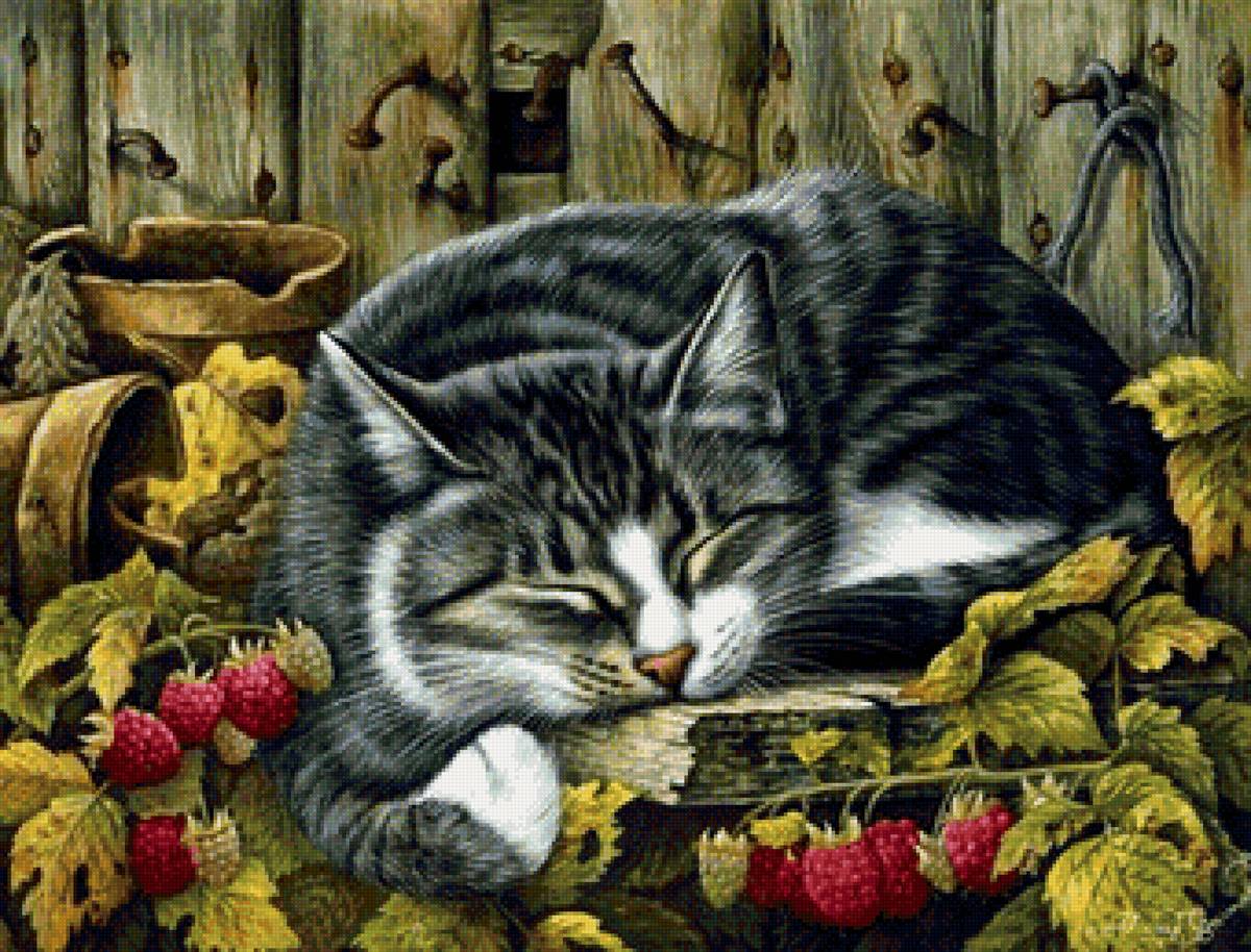 кот - кот, животные, портрет - предпросмотр