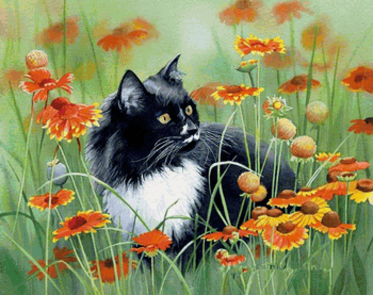 кот - животные, портрет, кот - предпросмотр