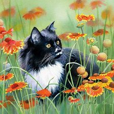 Схема вышивки «кот»