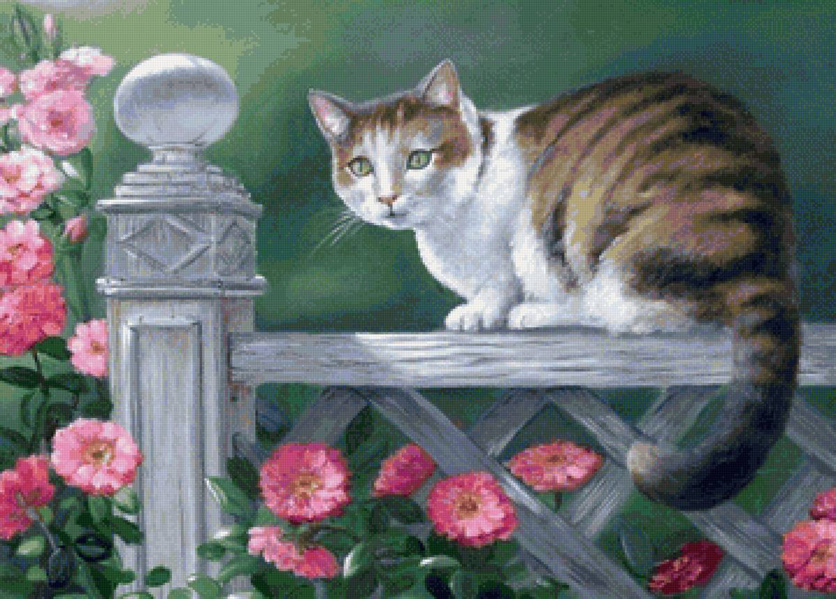 кот - портрет, животные, кот - предпросмотр