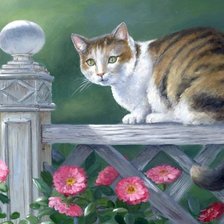 Схема вышивки «кот»