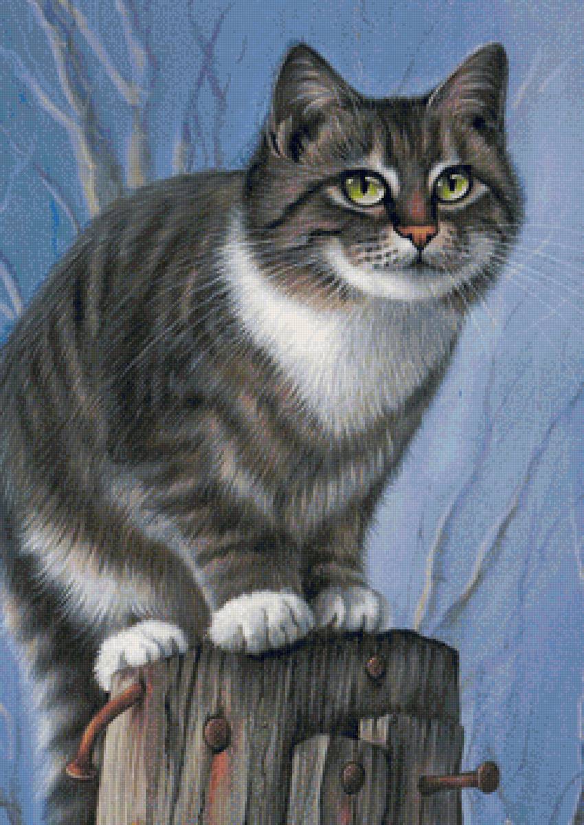 кот - кот, животные, портрет - предпросмотр