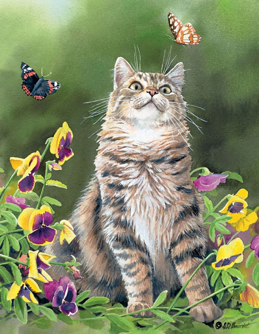 кот - портрет, животные, кот - оригинал