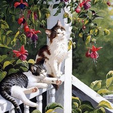 Схема вышивки «кот»