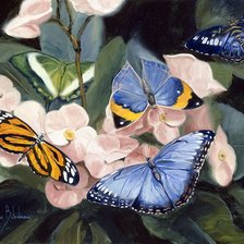 Схема вышивки «бабочки»