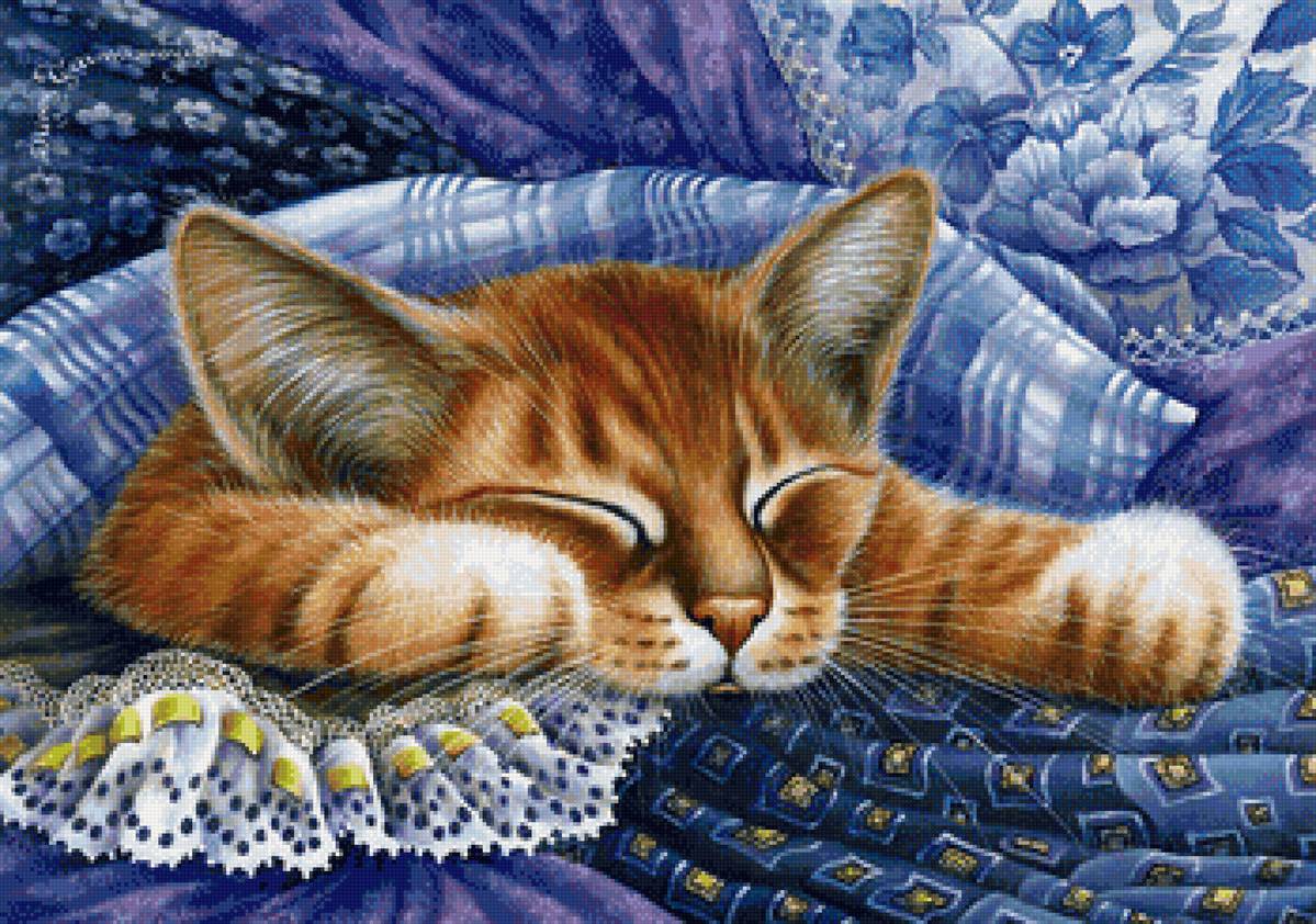 кот - портрет, животные, кот - предпросмотр