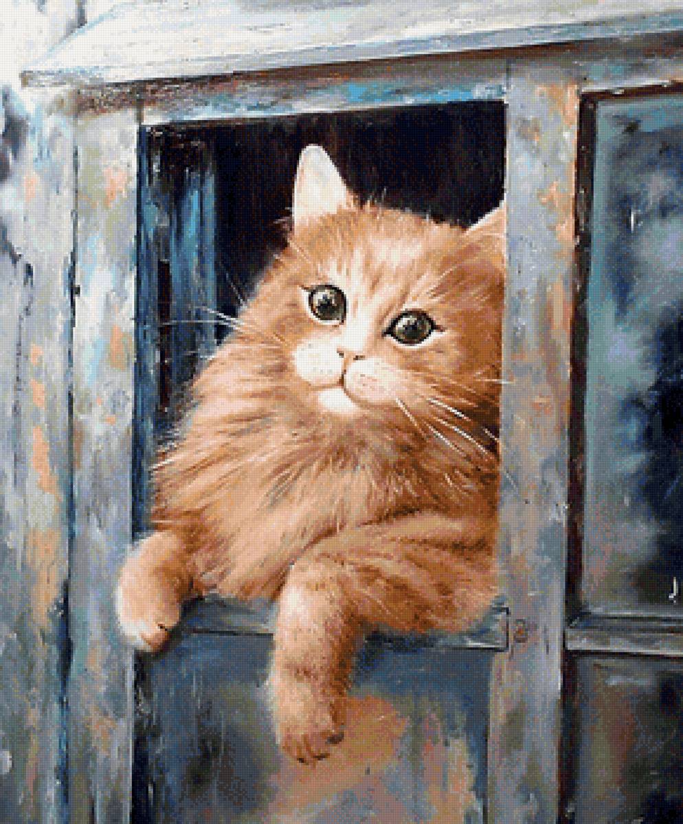 кот - кот, животные, портрет - предпросмотр