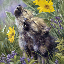 Схема вышивки «волчата»