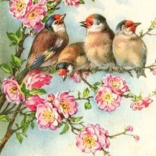 Схема вышивки «Птицы и цветы»
