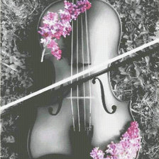 Схема вышивки «viola»